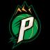 派萨人